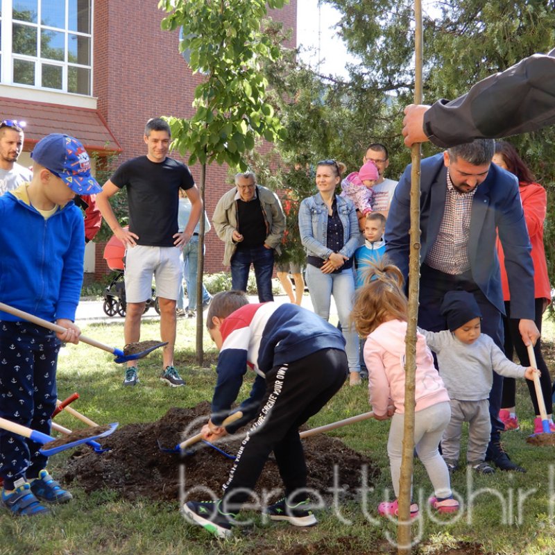 Életfa ültetés a város napján 31